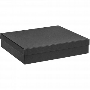 Коробка Giftbox 25,5х20,3х5,3 см.  №4