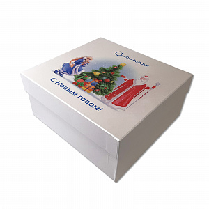Пример новогодней коробки SolarGroup.  №2