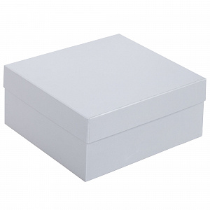 Коробка Satin большая 23х20,7х10,3 см.  №4
