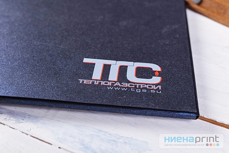 Папка картонная с логотипом ТГС.  №3